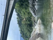 Sosežigalniški suspenz